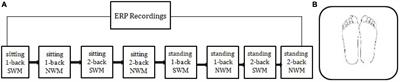 Interaction between visual working memory and upright postural control in young adults: an event-related potential study based on the n-back paradigm